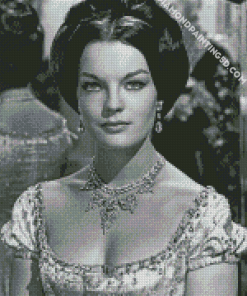 Black And White Romy Schneider Diamond Paintings