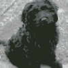 Cute Black Cavoodle Diamond Paintings