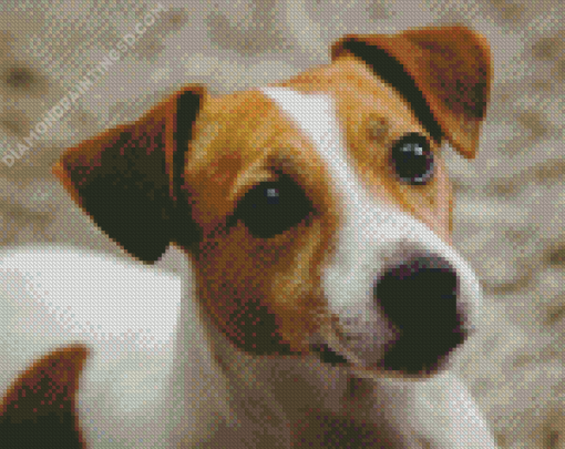 Cute Jack Russel Terrier Diamond Paintings