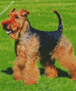 Dog Welsh Terrier Diamond Paintings