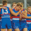 Western Bulldogs Football Players Diamond Paintings