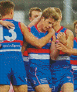 Western Bulldogs Football Players Diamond Paintings