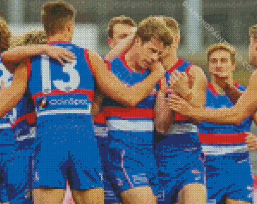 Western Bulldogs Football Players Diamond Paintings