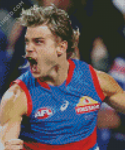 Western Bulldogs Football Player Diamond Paintings