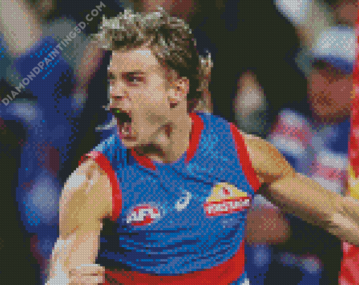 Western Bulldogs Football Player Diamond Paintings