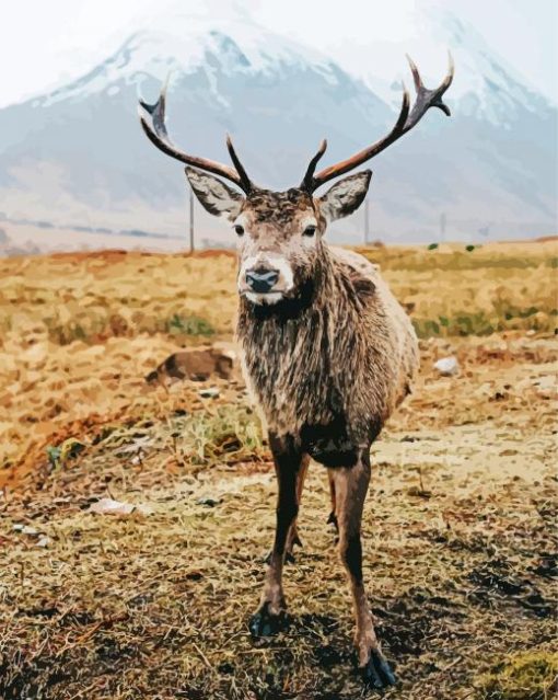 Highland Stag Animal Diamond Paintings