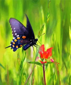 Indian Paintbrush And Butterfly Diamond Paintings