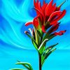 Indian Paintbrush Art Diamond Paintings