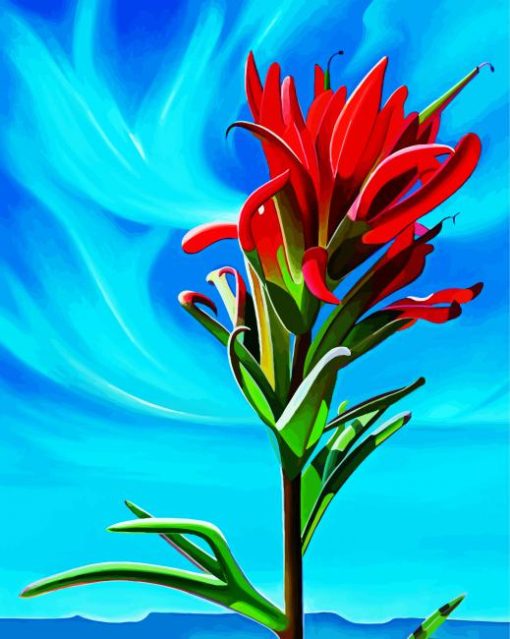 Indian Paintbrush Art Diamond Paintings