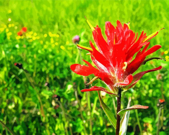 Indian Paintbrush Flower Diamond Paintings