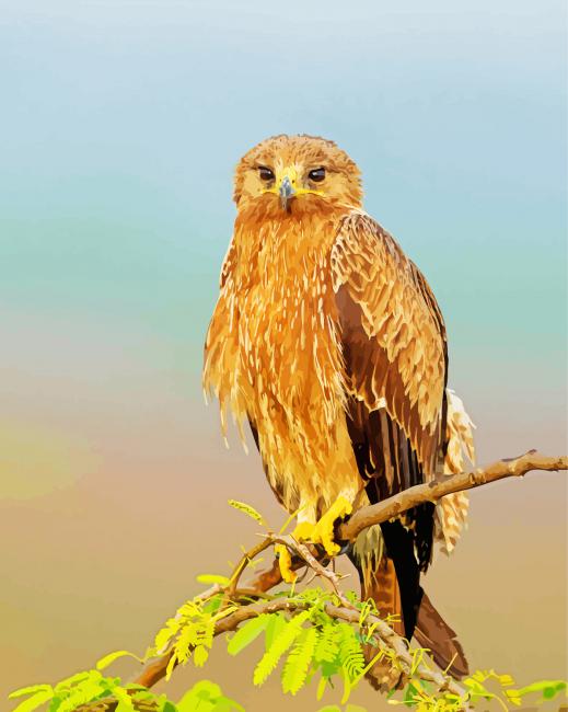 Indian Spotted Eagle On Stick Diamond Paintings