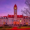 Indiana University Diamond Painting