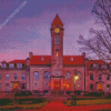 Indiana University Diamond Painting