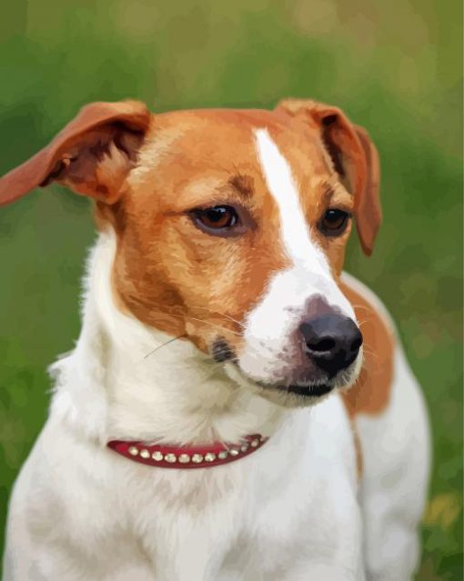 Jack Russel Terrier Dog Diamond Paintings