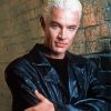 James Marsters Spike Buffy The Vampire Diaries Diamond Paintings