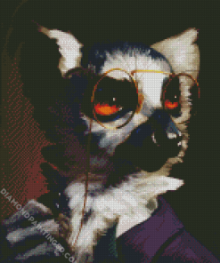 Lemur With Glasses Diamond Paintings