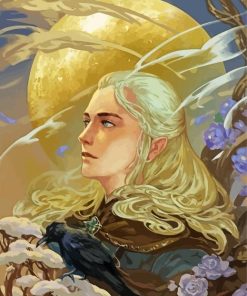 Lord Of The Rings Legolas Elf diamond painting