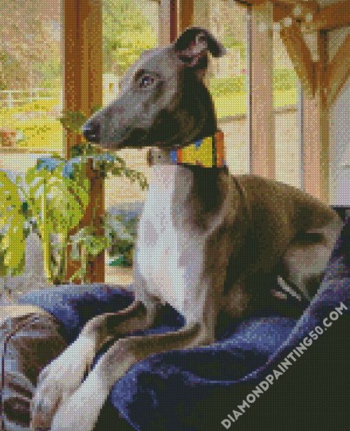 Lurcher Dog On Sofa diamond painting