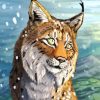 Lynx Cat diamond painting