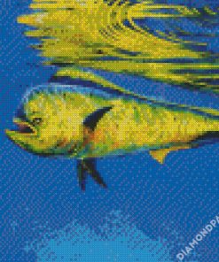 Mahi Mahi Fish Underwater diamond painting