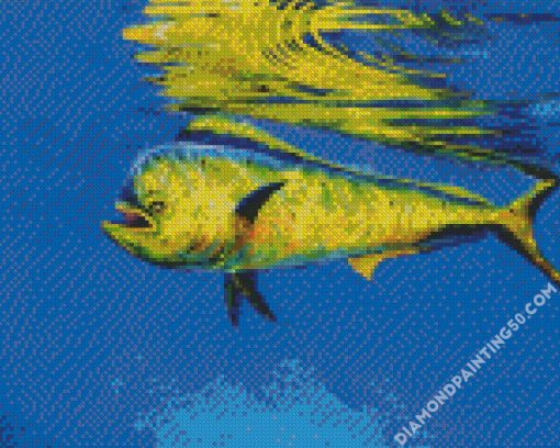 Mahi Mahi Fish Underwater diamond painting