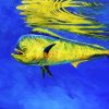 Mahi Mahi Fish Underwater diamond painting