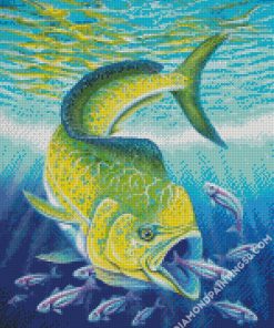 Mahi Mahi Eating Fish diamond painting