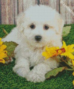 Maltipom And Sunflowers diamond painting