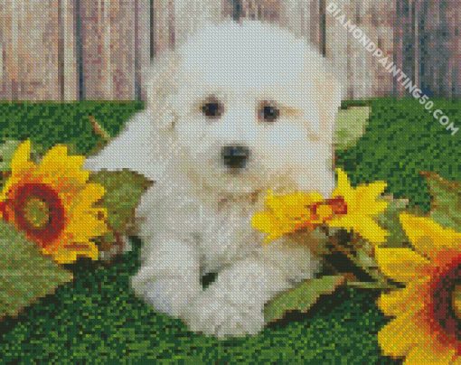 Maltipom And Sunflowers diamond painting