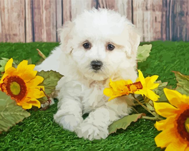 Maltipom And Sunflowers diamond painting