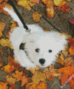 Maltipom Puppy diamond painting