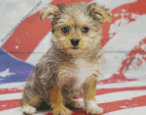 Maltipom Puppy Dog diamond painting