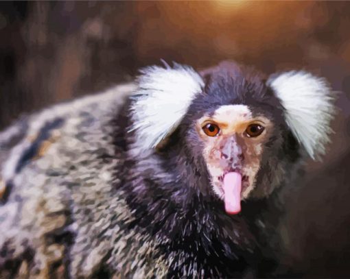 Marmoset Animal Diamond Paintings