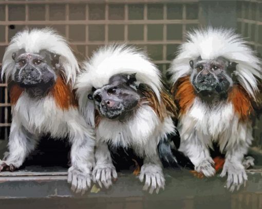 Marmosets Apes Diamond Paintings