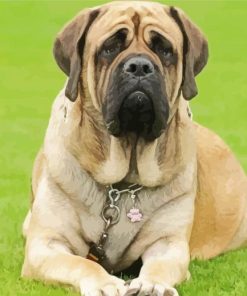 Mastiff Puppy Diamond Paintings