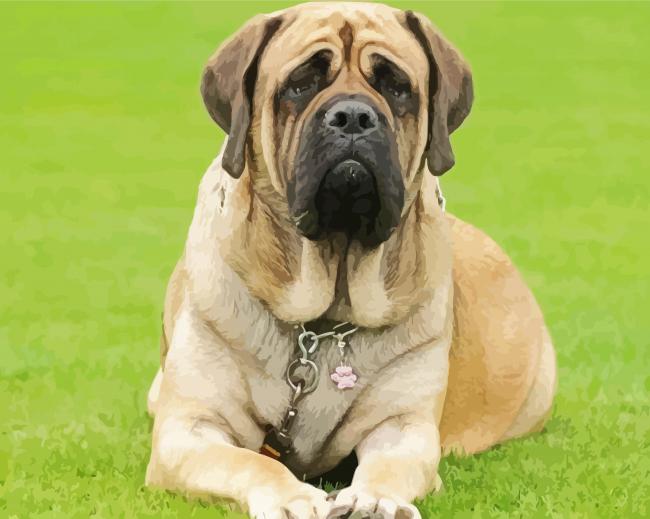 Mastiff Puppy Diamond Paintings