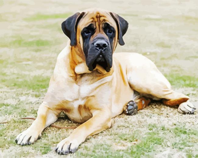 Mastiff Dog Diamond Paintings