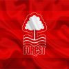 Nottingham Forest Football Club Flag Diamond Paintings