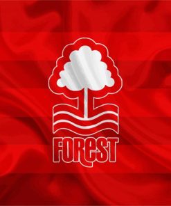 Nottingham Forest Football Club Flag Diamond Paintings