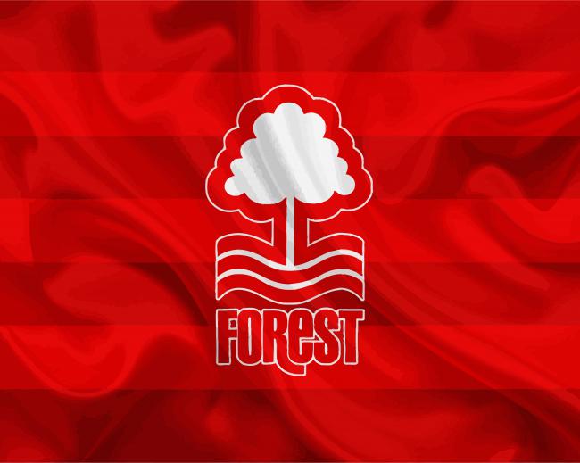 Nottingham Forest Football Club Flag Diamond Paintings