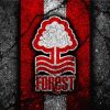 Nottingham Forest Football Club Logo Diamond Paintings