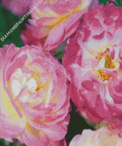 Pink And Fuchsia Floribundas diamond painting