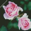 Pink Floribundas diamond painting