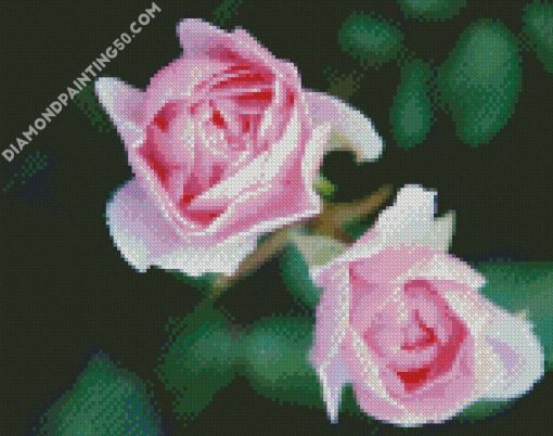 Pink Floribundas diamond painting