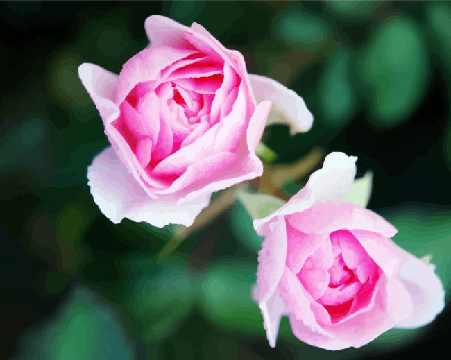 Pink Floribundas diamond painting