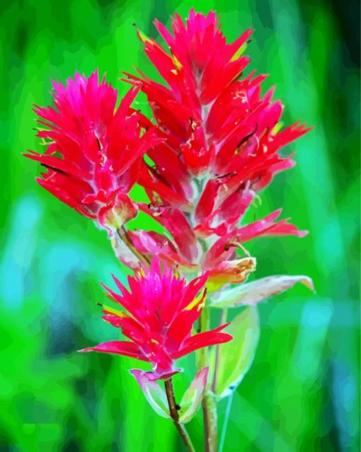 Pink Indian Paintbrush Diamond Paintings