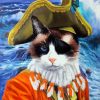 Pirate Cat Art Diamond Paintings