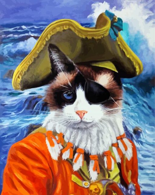 Pirate Cat Art Diamond Paintings