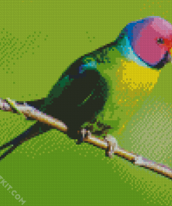 Plum Headed Parekeet Diamond Paintings