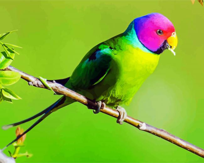 Plum Headed Parekeet Diamond Paintings